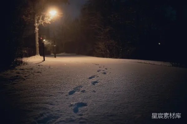 高清摄影 冬夜雪地的足迹