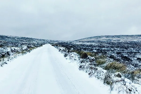 高清摄影 冬日雪地小径