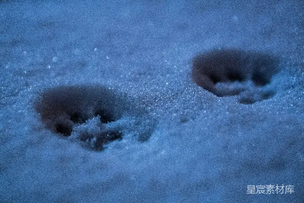 高清摄影 雪地中的足迹