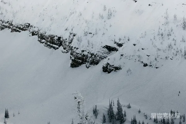 高清摄影 雪覆盖的山峰与松树林