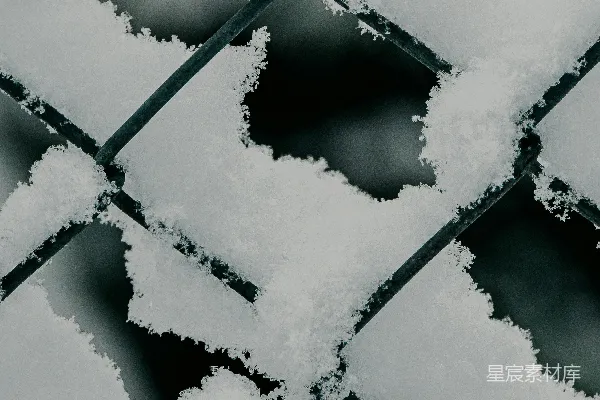 高清摄影 冬日铁网上的雪景