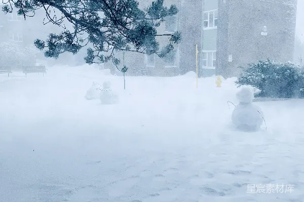 高清摄影 冬日雪景中的雪人