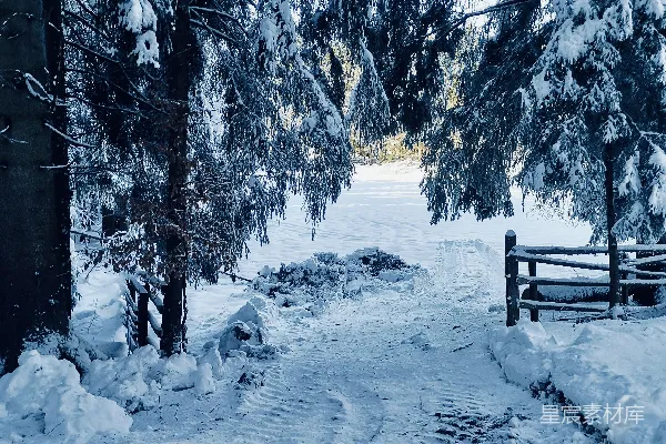 高清摄影 冬日雪景中的森林小径