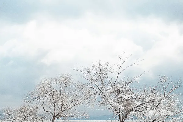 高清摄影 冬日湖畔的雪景