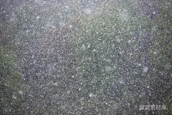 高清摄影 飘雪的瞬间