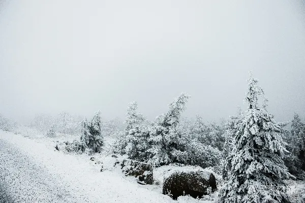 高清摄影 冬日雪景