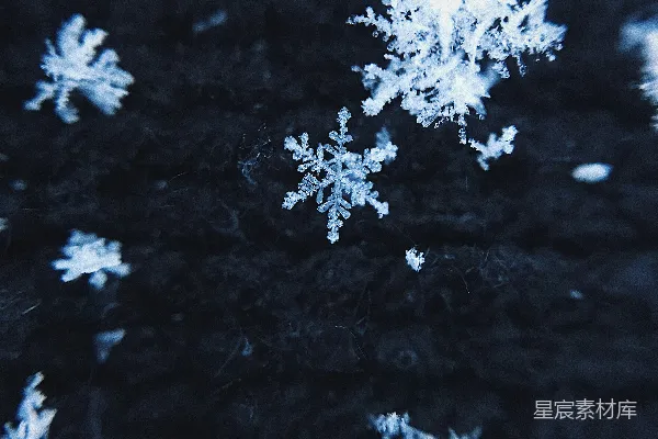 高清摄影 冰晶雪片