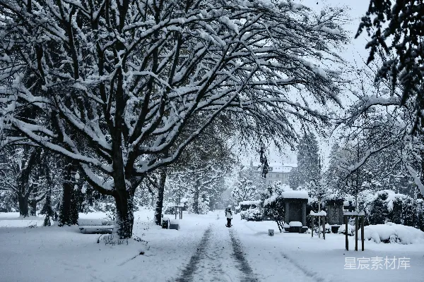 高清摄影 冬日雪景下的墓地