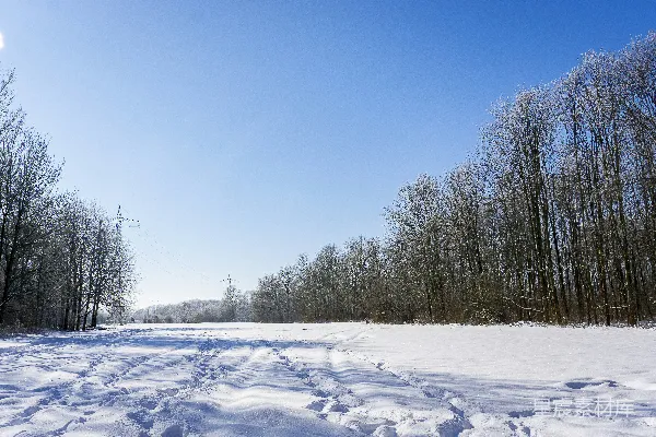 高清摄影 冬日雪景：宁静的森林小径