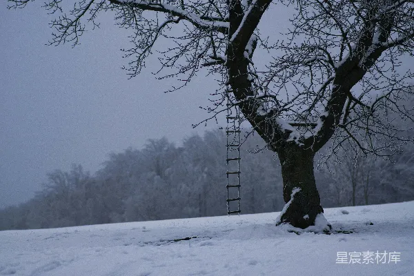 高清摄影 雪中的树屋