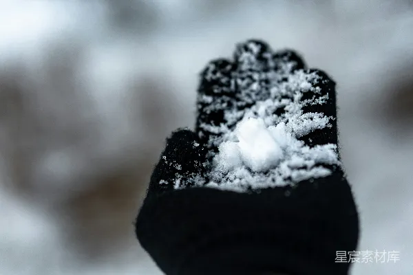 高清摄影 手上的雪花