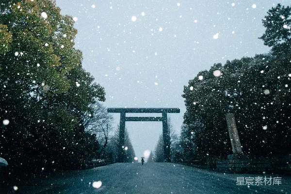 高清摄影 冬日神社下的雪景