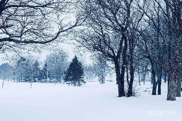 高清摄影 雪景中的冬日公园