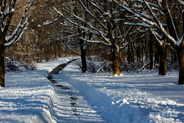 高清摄影 冬日雪景中的小径