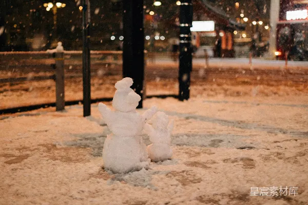 高清摄影 雪夜里的父子雪人
