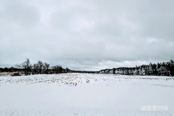 高清摄影 雪后的田野