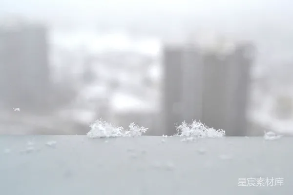高清摄影 冬日的雪花微景