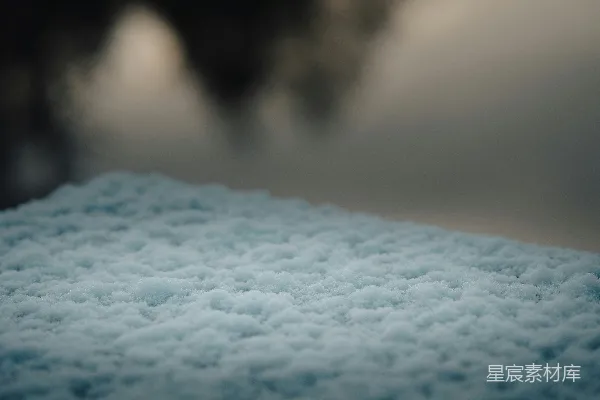 高清摄影 冬日雪花的细腻纹理