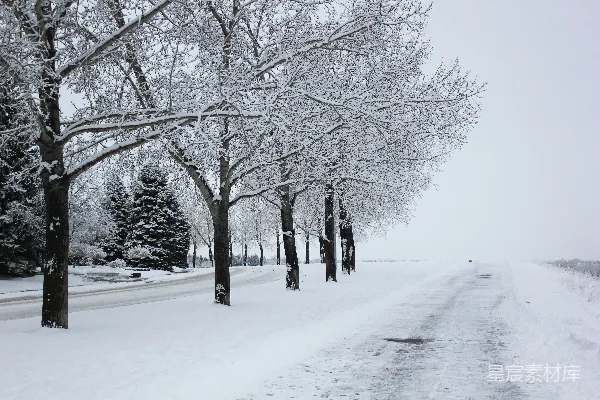高清摄影 冬日雪景中的道路