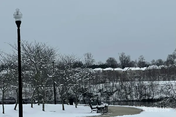 高清摄影 雪后宁静的公园场景