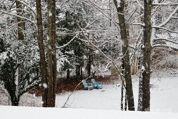 高清摄影 雪中的宁静角落