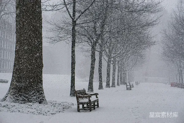 高清摄影 冬日雪景中的静谧长椅