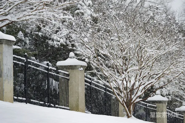 高清摄影 冬日雪景中的铁艺围栏