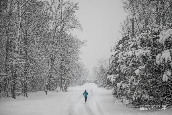 高清摄影 冬日雪景中的奔跑者