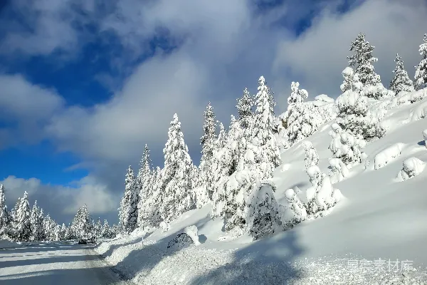 高清摄影 雪后山林的宁静之美