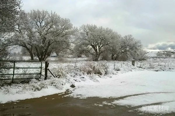 高清摄影 冬日雪景中的宁静小路