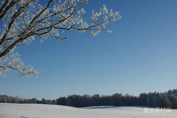 高清摄影 冬日清晨的雪景