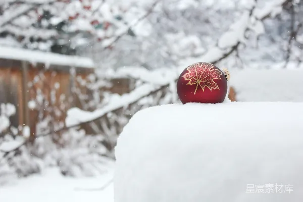 高清摄影 雪中的圣诞装饰
