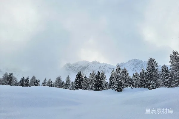 高清摄影 冬日山景：雪覆盖的松林与远处的山峰