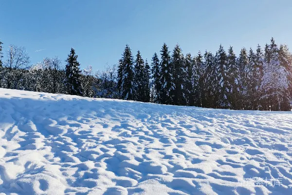 高清摄影 冬日雪景