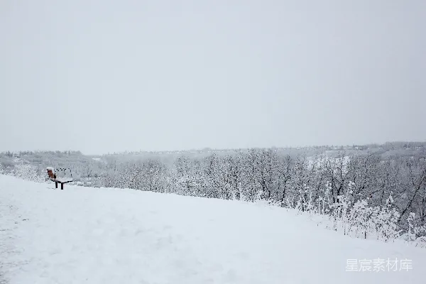 高清摄影 雪景中的宁静长椅