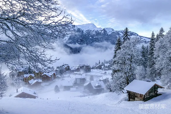 高清摄影 冬日雪乡的宁静与美丽