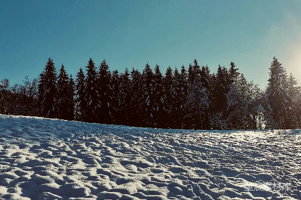 高清摄影 冬日雪景