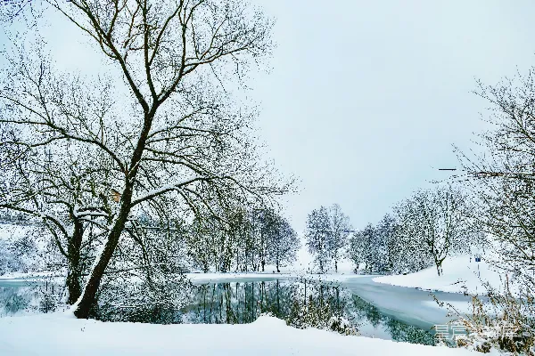 高清摄影 冬日雪景中的宁静湖畔