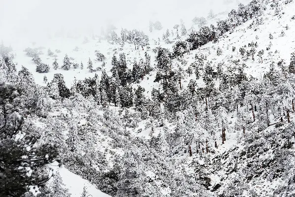 高清摄影 冬日山林雪景