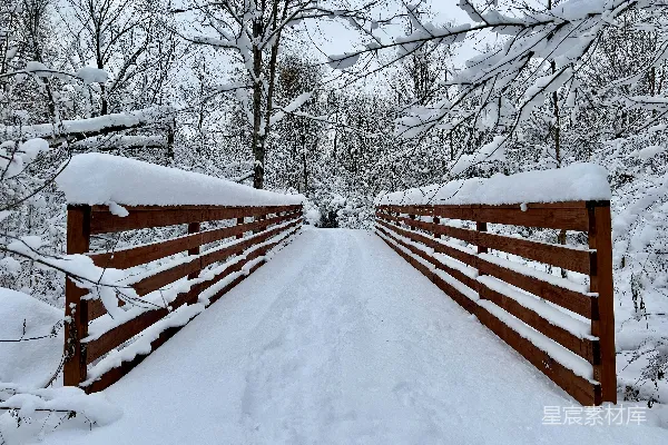 高清摄影 雪景中的木桥