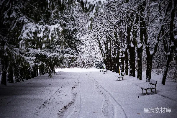 高清摄影 冬日雪景中的林间小道