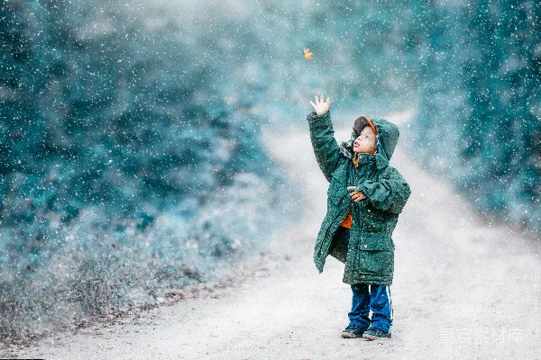 高清摄影 雪中的小探险者
