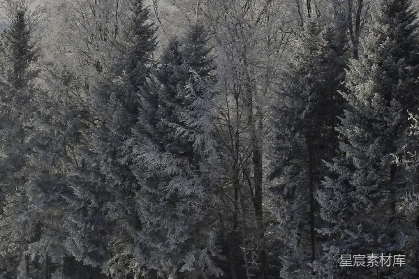 高清摄影 冬日雪景