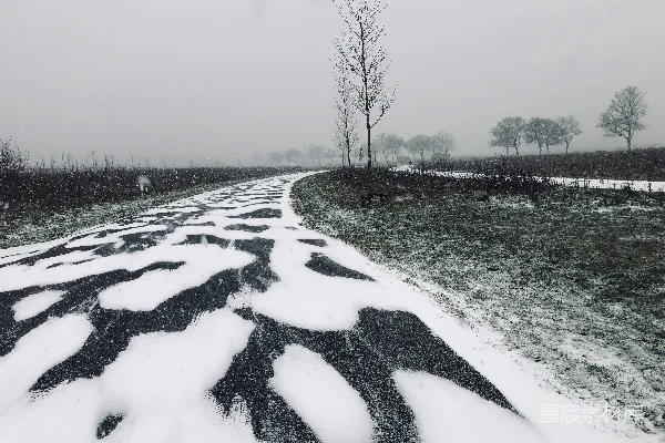 高清摄影 雪中的乡村小路