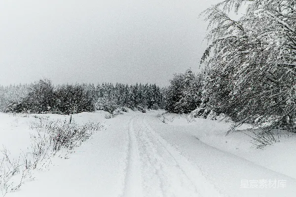 高清摄影 冬日雪路