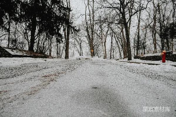 高清摄影 冬日雪景中的静谧小路