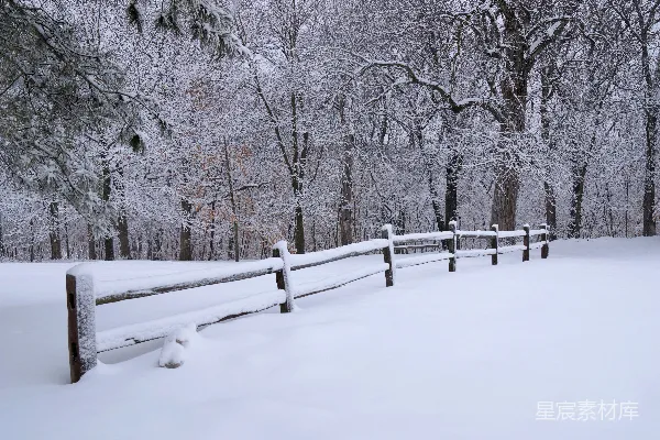 高清摄影 冬日雪景中的宁静木椅