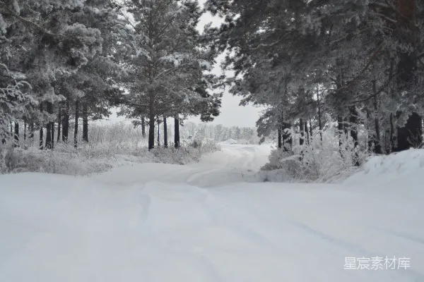 高清摄影 雪后森林小径