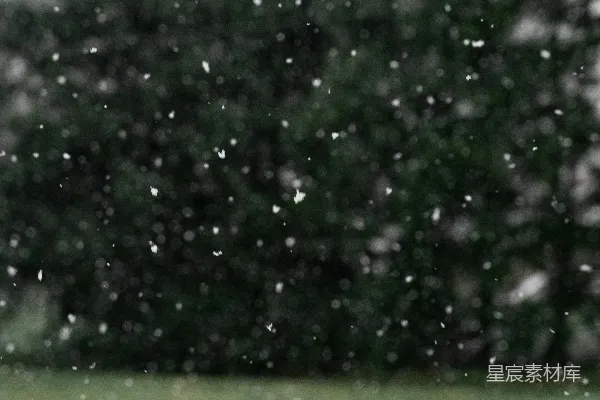 高清摄影 飘雪中的田野