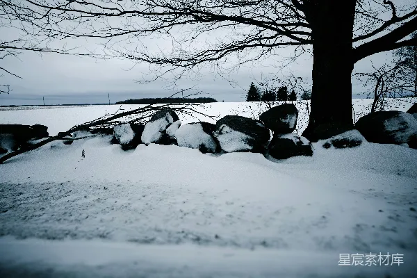 高清摄影 冬日雪景下的静谧岩石